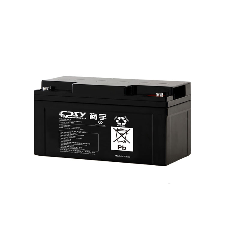 12V UPS Battery